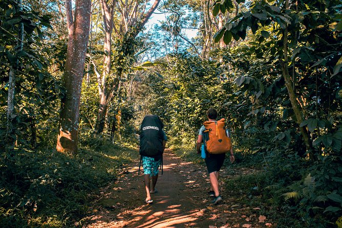 2D1N Senaru Crater Rim Trekking - Day one: Senaru forest to the crater rim