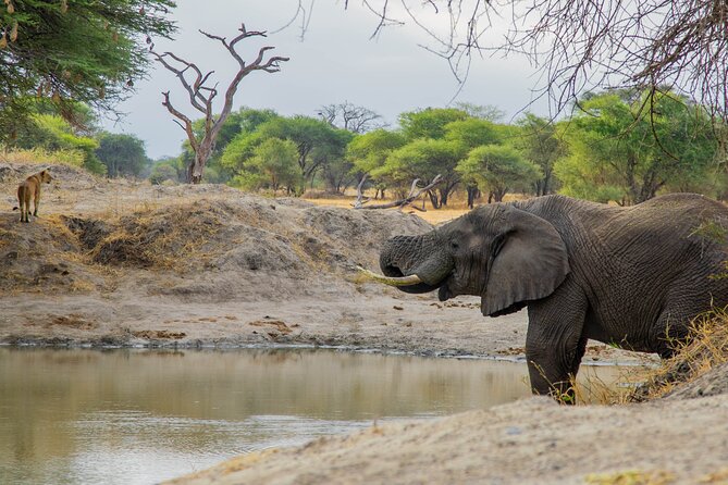 3-Day / 2 Nights Group Safari Serengeti & Ngorongoro Crater - Meals, camping gear, and what the price covers