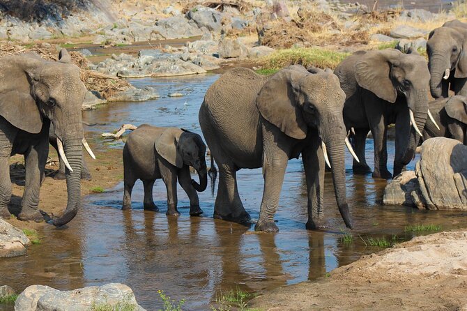 3-Day Camping Safari Tarangire, Lake Manyara & Ngorongoro crater - Why this three-day route works