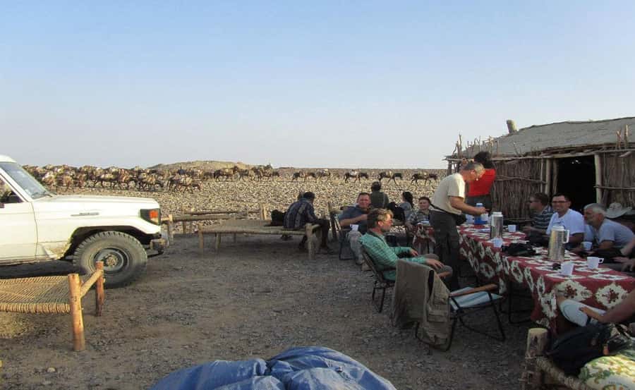3-Day Danakil Depression A Journey into Earth’s Fiery Heart - Should you book the Danakil Depression tour?