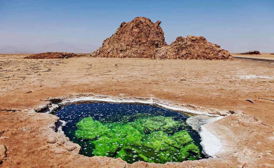 3-Day Danakil Depression A Journey into Earth’s Fiery Heart - Day 1: Lake Afdera brings water to the desert