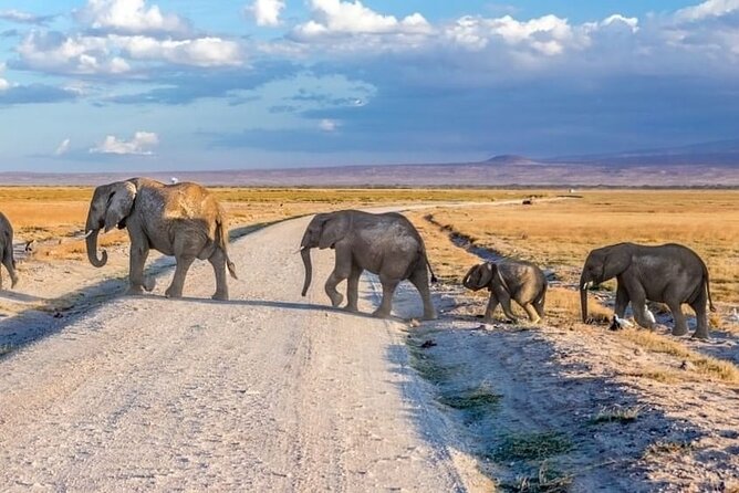 3-Day Ngorongoro Crater Manyara and Tarangire Safari from Arusha - Day 1: Tarangire, elephants and baobab country