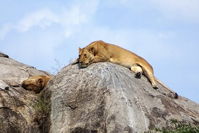 3-Day Ngorongoro Crater Manyara and Tarangire Safari from Arusha - Guides, cooks and the human side of the safari