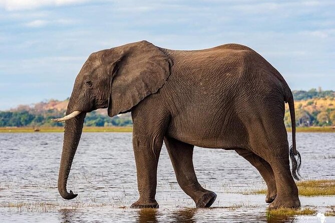 3 Day Safari to Serengeti National Park and Ngorongoro Crater - A fast route from Arusha to the Serengeti