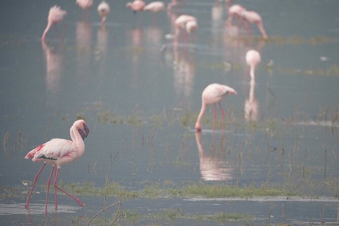 3 Day Safari to Serengeti National Park and Ngorongoro Crater - Sleeping on the Ngorongoro rim