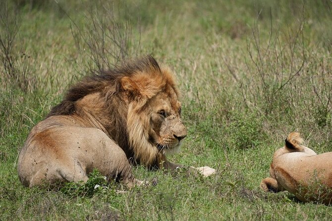 3 Day Safari to Serengeti National Park and Ngorongoro Crater - What the $855 price buys you