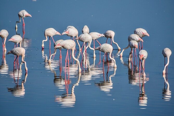 3-Day Tarangire, Ngorongoro Crater, Manyara Park - What private travel changes