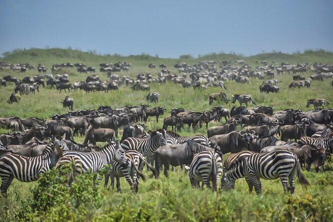 3-Day Tarangire, Ngorongoro Crater, Manyara Park - Food, timing, and practical comfort