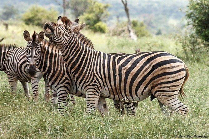 3-Day Tarangire NP, Manyara NP & Ngorongoro Crater - Day three: Lake Manyara’s forest, waterfalls, and hot springs