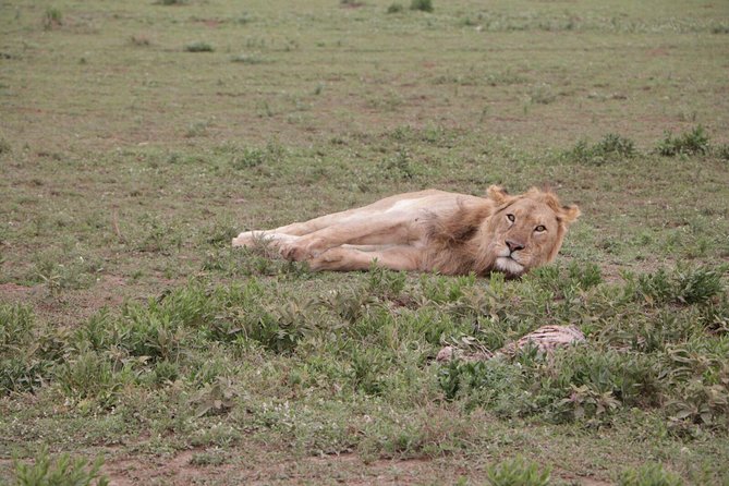 3-Day Tarangire NP, Manyara NP & Ngorongoro Crater - Who will enjoy this fast Northern Circuit route