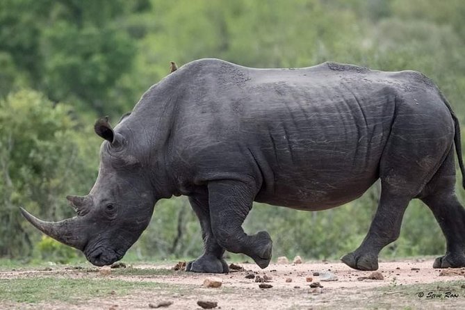 3-Day Tarangire NP, Manyara NP & Ngorongoro Crater - Booking details worth confirming