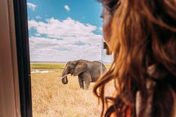 3-Day Taste of Tanzania Safari (Tarangire National park and Ngorongoro Crater) - Booking, cancellation, and practical details