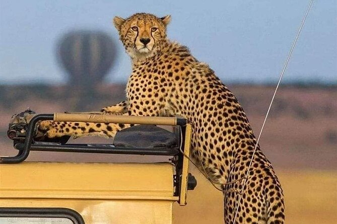 3 Days /2 nights Serengeti and Ngorongoro crater - Day 1: From Karatu’s highlands to Seronera