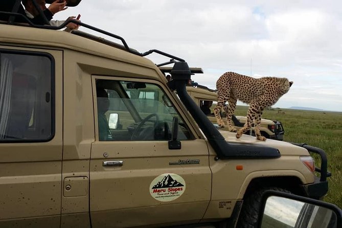 3 Days Lake Manyara, Ngorogoro Crater, Tarangire National Park - Who should book this safari?