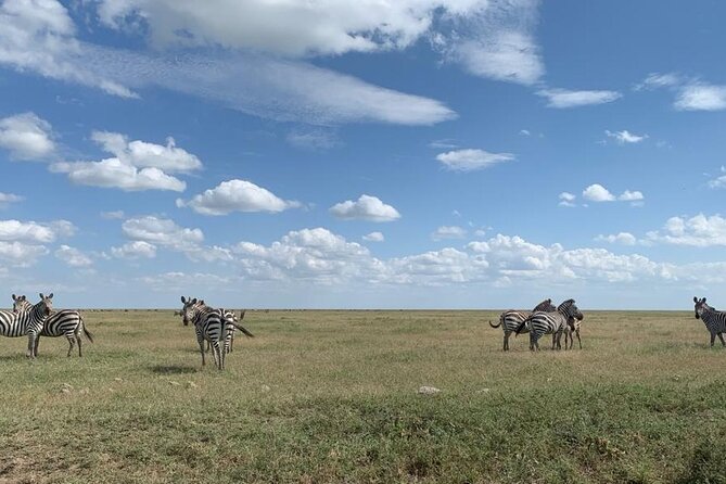 3 Days Lake Manyara, Tarangire, Ngorongoro Crater group (Camping) - Three parks, three different safari moods