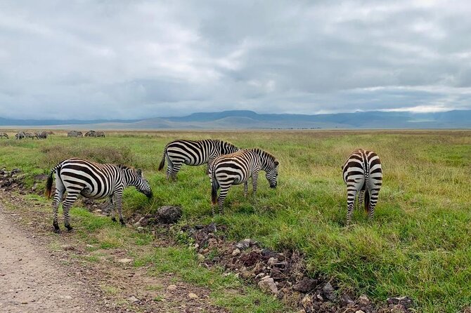 3 Days Lake Manyara, Tarangire, Ngorongoro Crater group (Camping) - Day three: Lake Manyara before the drive back
