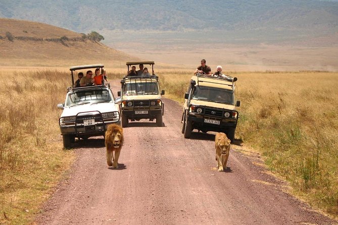 3 Days of Camping Bliss in Serengeti and Ngorongoro Crater - Day 3: Ngorongoro Crater before the drive home