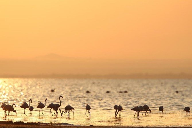 3 Days of Camping Bliss in Serengeti and Ngorongoro Crater - Price, group size, and what is not included