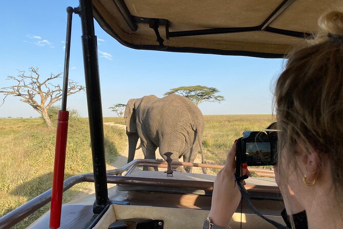 3 Days Private Budget Safari to Tarangire and Ngorongoro Crater - Day two: Tarangire’s elephants and baobabs