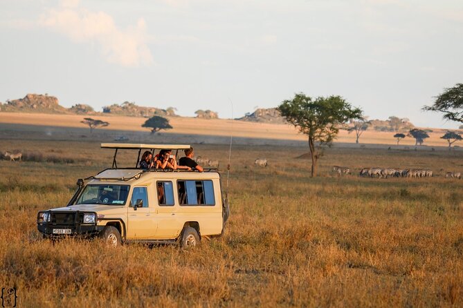3 Days Safari Ngorongoro Crater and Serengeti National Park - What makes the Seronera Valley and Moru Kopjes special