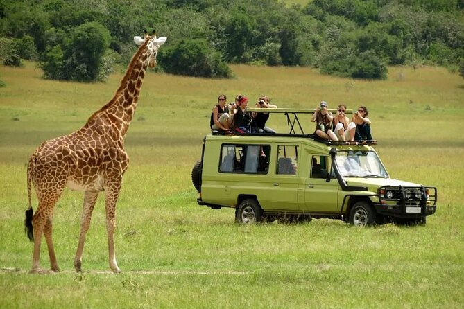3 Days Safari Ngorongoro Crater and Serengeti National Park - Ngorongoro Crater on day three