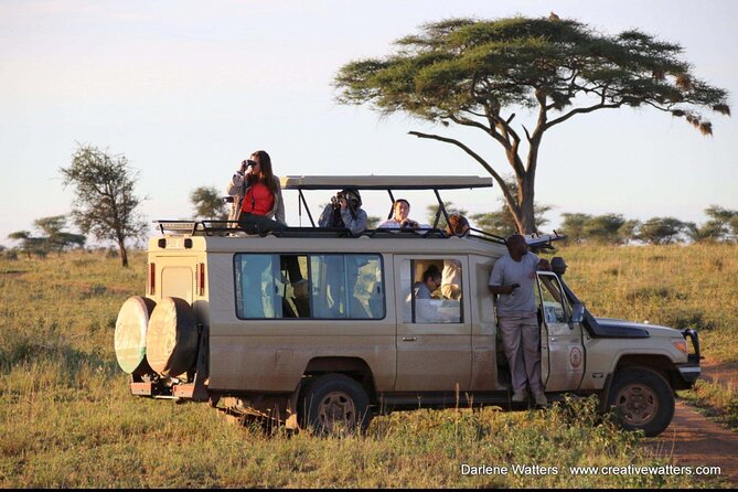 3 Days Safari Ngorongoro Crater and Serengeti National Park - Communication, guides, and practical planning