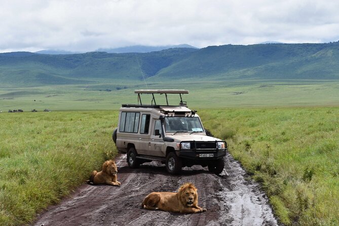 3 Days Safari Ngorongoro Crater and Serengeti National Park - Who will enjoy this safari most