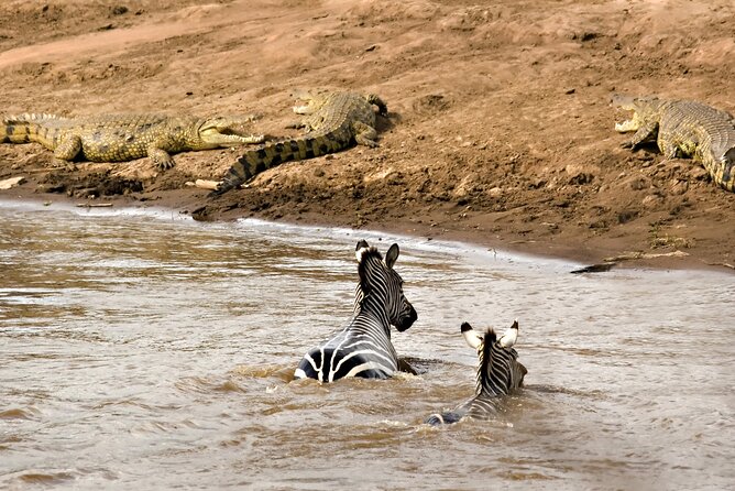 3 Days Safari Serengeti & Ngorongoro Crater - What the food and camping setup mean in practice