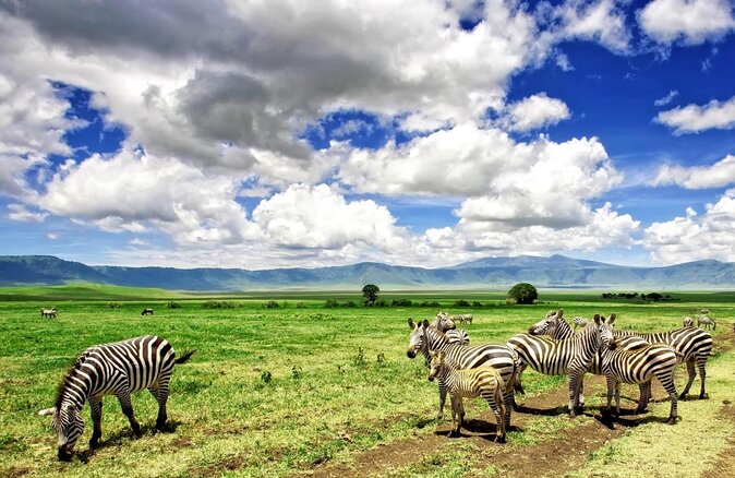 3 Days Safari to Serengeti National Park & Ngorongoro Crater in Tanzania - Key points at a glance