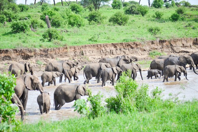 3 Days Serengeti & Ngorongoro Crater group safari - Camping near the crater rim