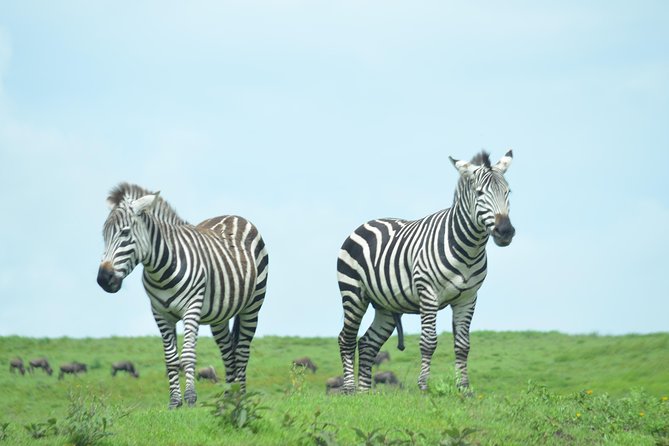 3 Days Serengeti & Ngorongoro Crater group safari - Six hours inside Ngorongoro Crater