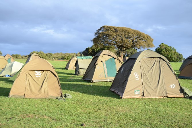 3 Days Serengeti & Ngorongoro Crater group safari - What the small group changes