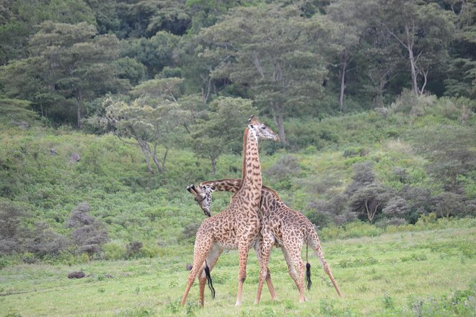 3 Days Serengeti & Ngorongoro Crater group safari - Serengeti: your main wildlife window