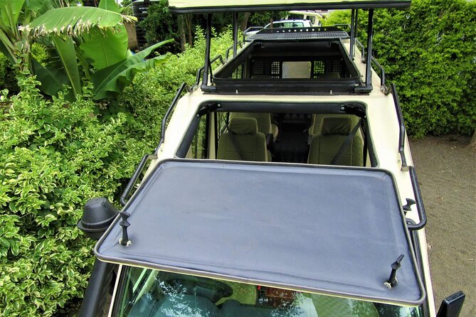3 Days Serengeti Park & Ngorongoro Crater Adventure Safari - Should you book it?