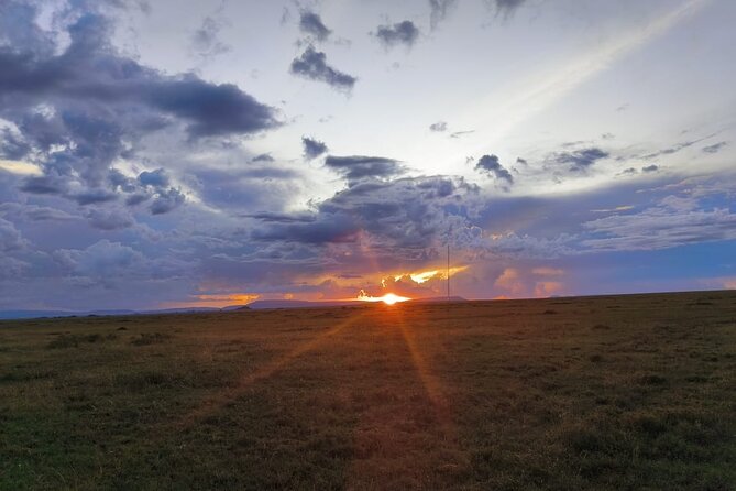 3 Days Small Group Safari to Serengeti NP and Ngorongoro Crater Tour in Tanzania - Who should choose this three-day safari?