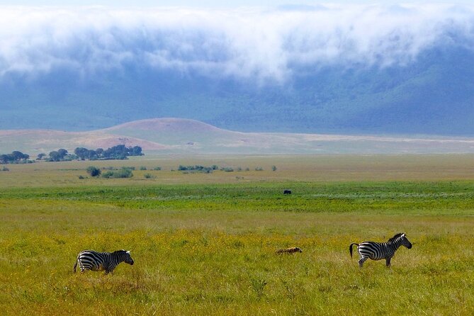 3 Days Tanzania Safari: Tarangire, Manyara and Ngorongoro Crater - What this three-day safari really offers