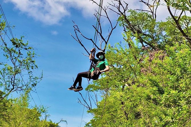 3 Zipline Adventure at Coral Crater with Optional Waikiki Shuttle - Three ziplines at Coral Crater, without an all-day commitment