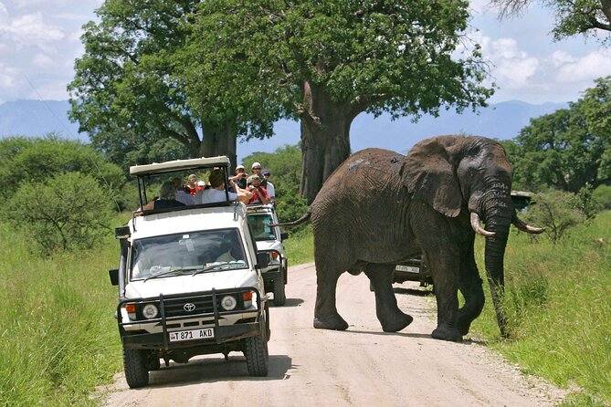 3Days luxury safari to Tarangire Ngorongoro crater and Manyara - Three parks, three very different views of Tanzania
