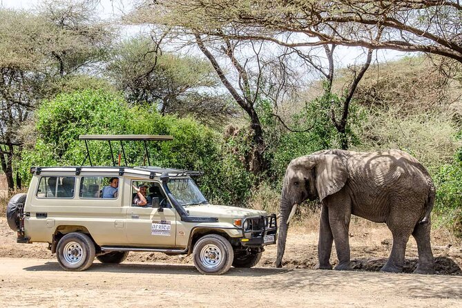 3Days luxury safari to Tarangire Ngorongoro crater and Manyara - Day 1: Tarangire’s giant elephants and tree savannah