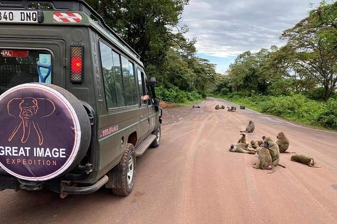 3days Serengeti National park and Ngorongoro Crater Tanzania Safari - Why this three-day route works