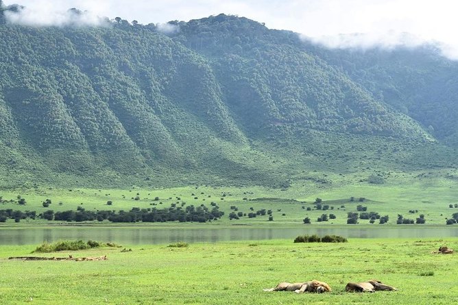 3days Serengeti National park and Ngorongoro Crater Tanzania Safari - Day 1: The long road into Serengeti