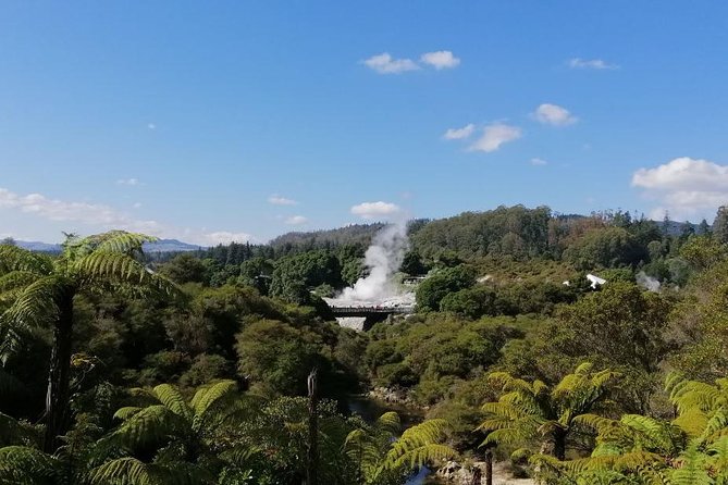 4-Day Auckland to Wellington via Rotorua Tour - Day 2: Whakarewarewa brings geothermal Rotorua to life
