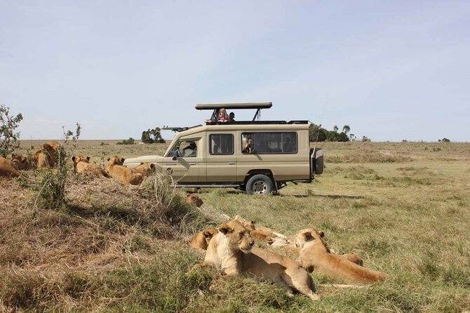 4 Day Great Migration Safari Serengeti & Ngorongoro Crater - What the private safari format adds