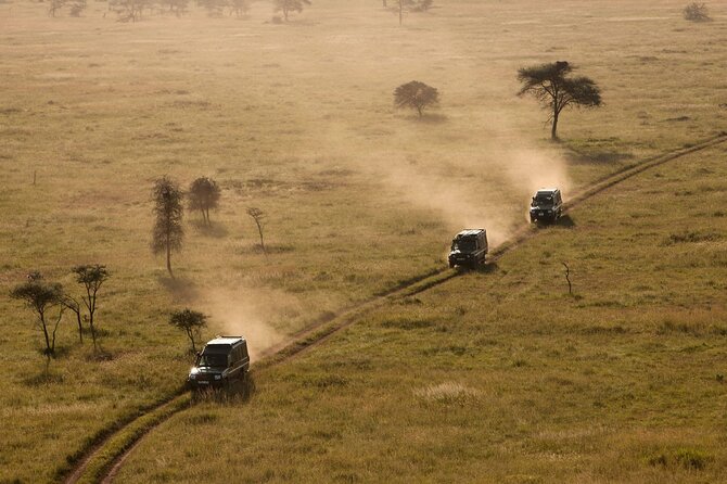 4 Day Great Migration Safari Serengeti & Ngorongoro Crater - Accommodation, food, and comfort