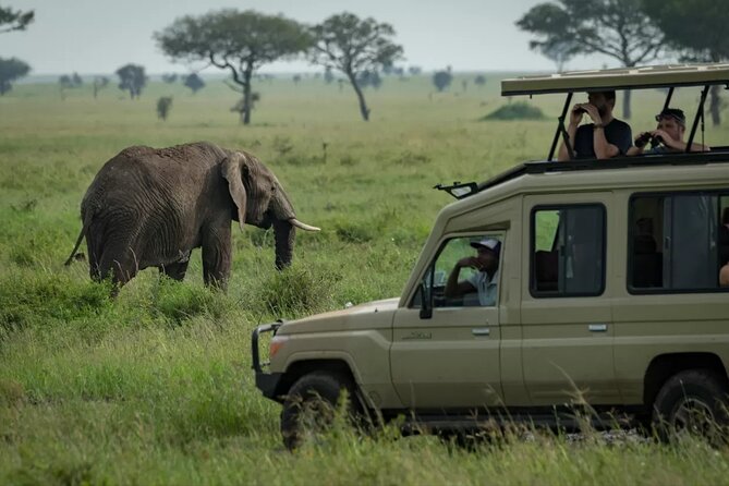 4 Day Ngorongoro Crater Tarangire and Serengeti National Park - Day 4: Ngorongoro Crater and the final wildlife search