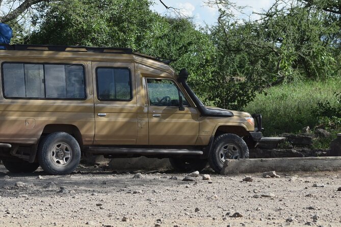 4-Day Safari to Tarangire ,Serengeti and Ngorongoro crater from Arusha - Day four: sunrise and the wildlife bowl of Ngorongoro