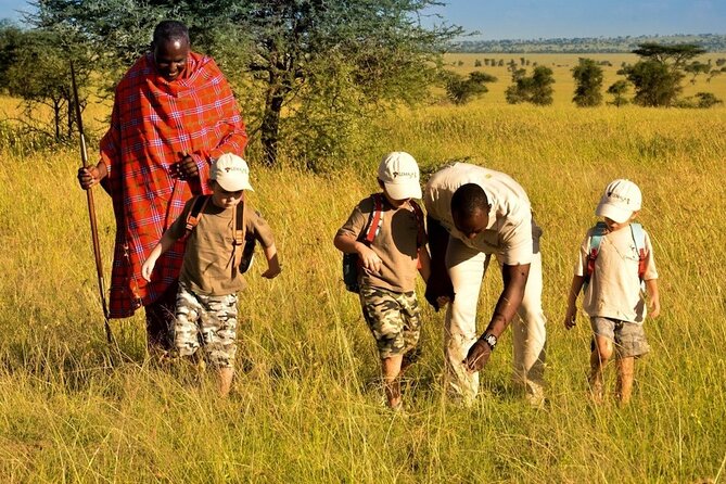 4-Day Safari to Tarangire ,Serengeti and Ngorongoro crater from Arusha - Who should book this safari
