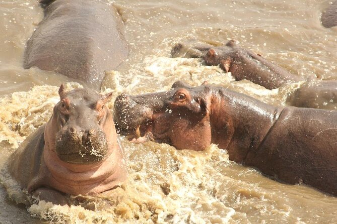 4 Day Serengeti and Ngorongoro crater - Day three: Leaving Serengeti for Ngorongoro