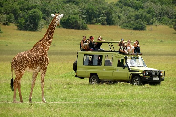 4-Day Tanzania Camping Safari to Lake Manyara, Serengeti, and Ngorongoro Crater - Three parks in four days, with little wasted time
