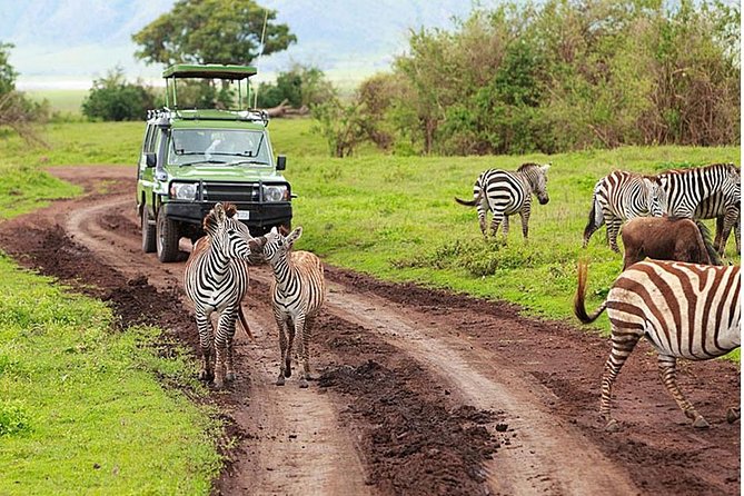4-Day Tanzania Camping Safari to Lake Manyara, Serengeti, and Ngorongoro Crater - The guide, vehicle, and group experience
